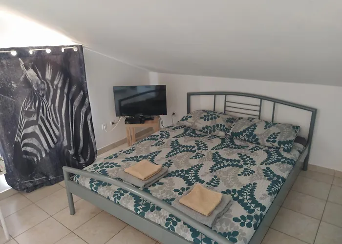 Dejan Apartments-top Centar-old Town-low Budget * 普拉