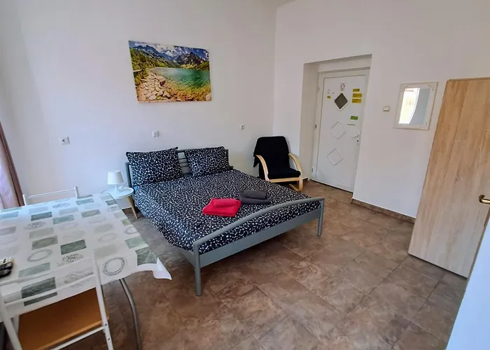 Dejan Apartments-top Centar-old Town-low Budget Pula